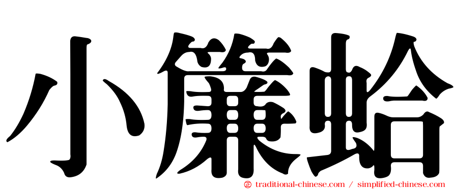 小簾蛤
