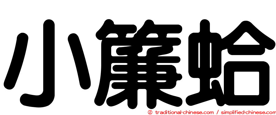 小簾蛤