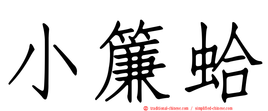 小簾蛤
