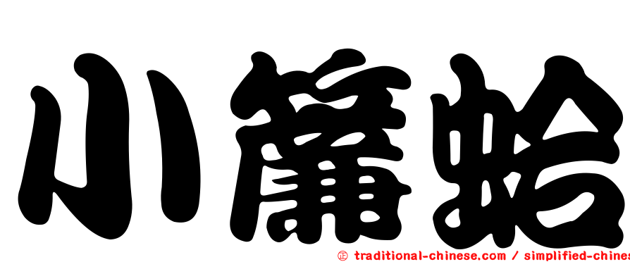 小簾蛤