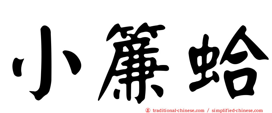 小簾蛤