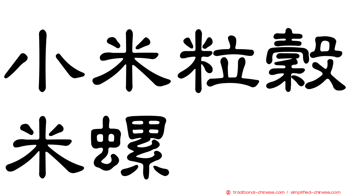 小米粒穀米螺