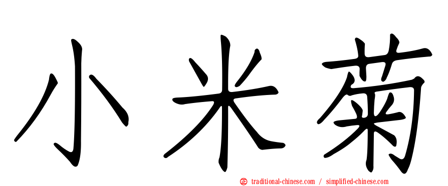 小米菊