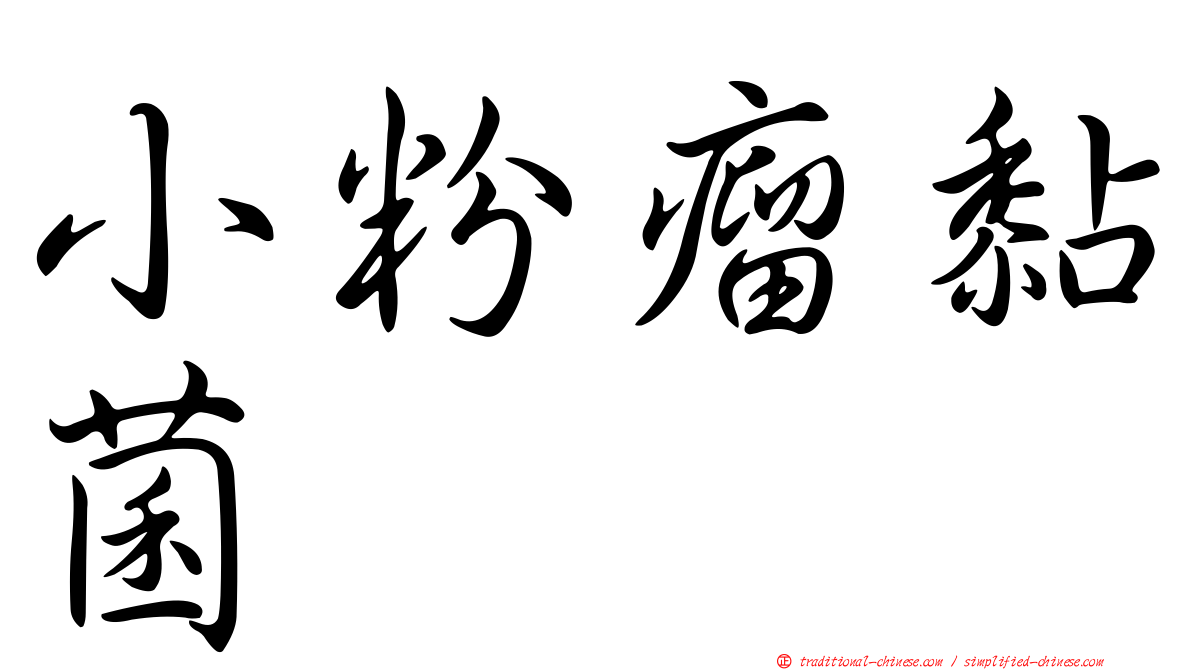 小粉瘤黏菌