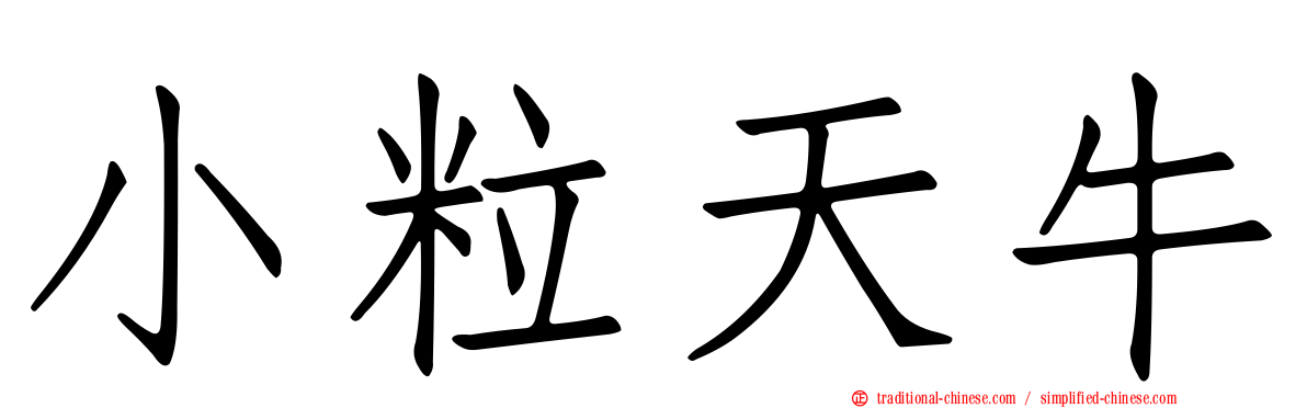 小粒天牛