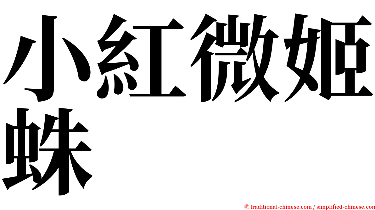 小紅微姬蛛 serif font