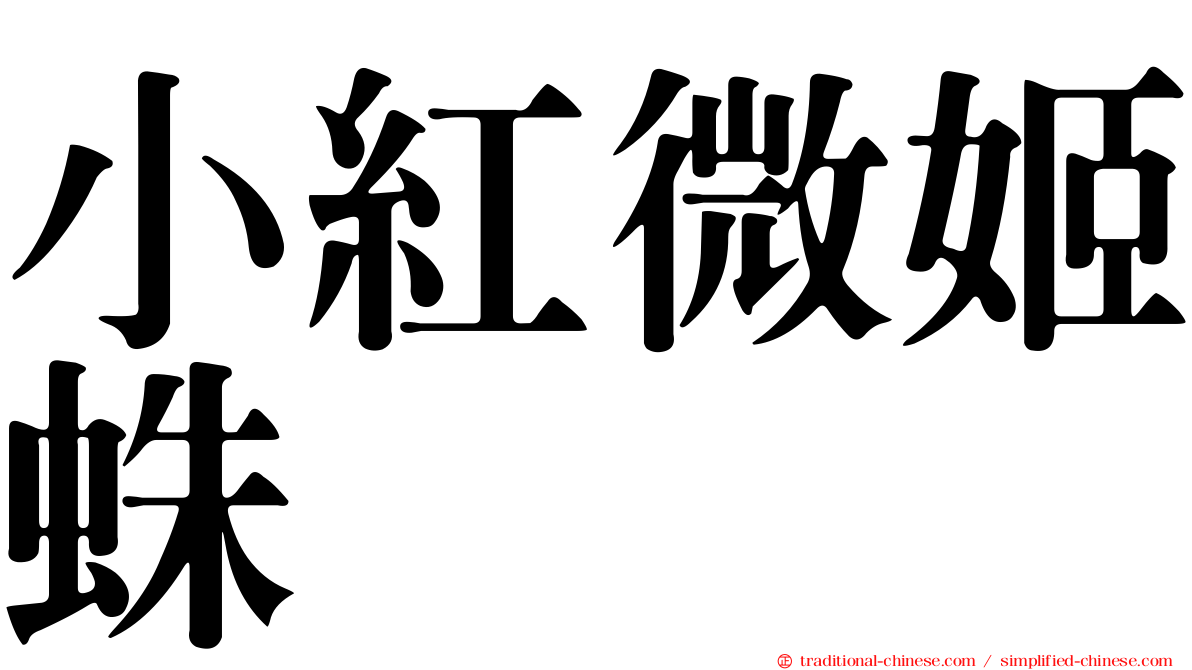 小紅微姬蛛
