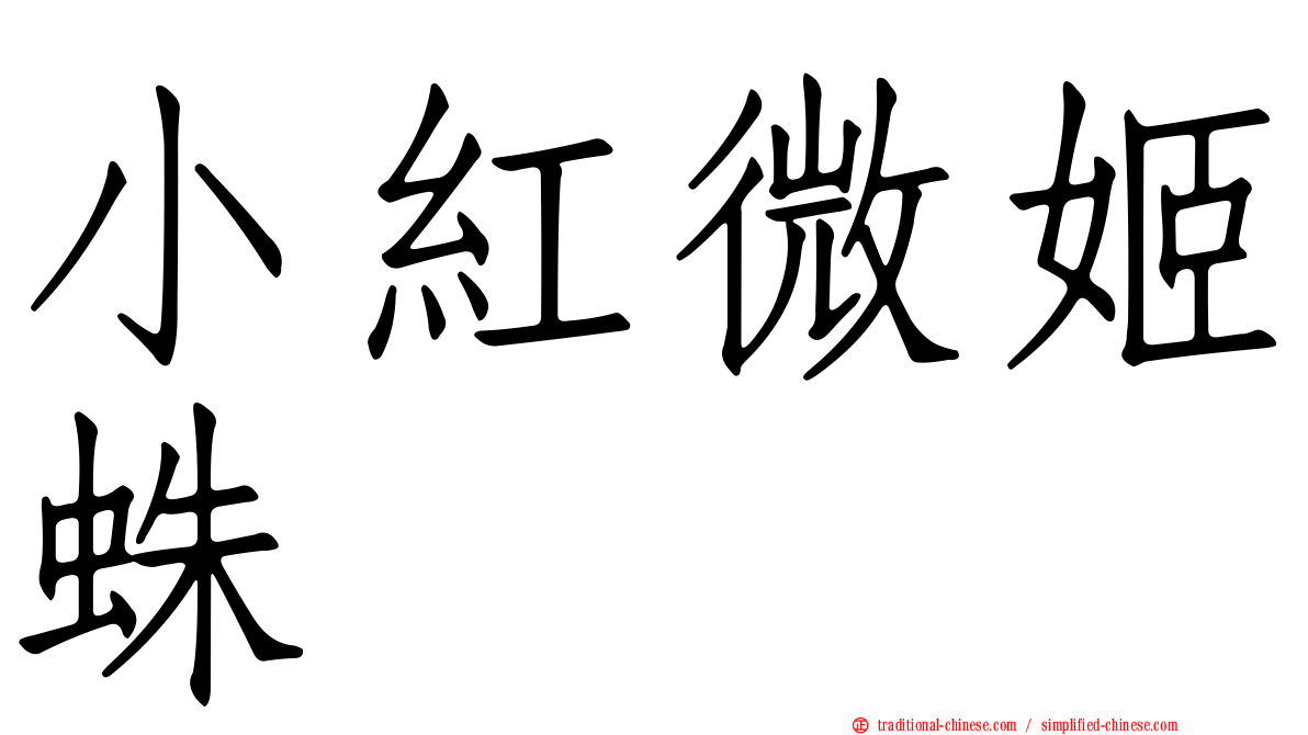 小紅微姬蛛