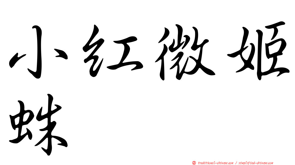 小紅微姬蛛