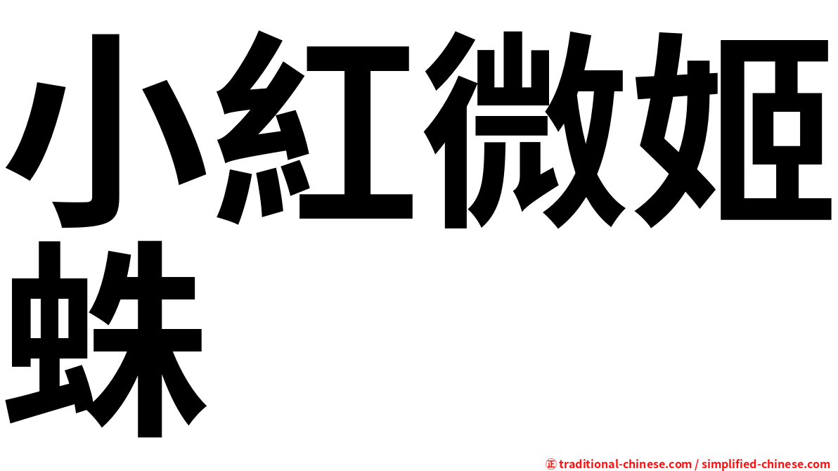 小紅微姬蛛