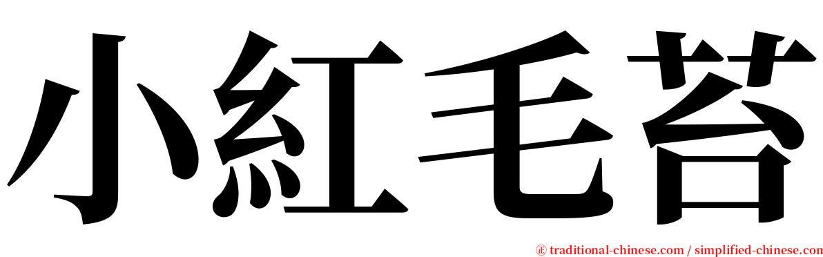 小紅毛苔 serif font