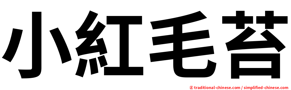 小紅毛苔