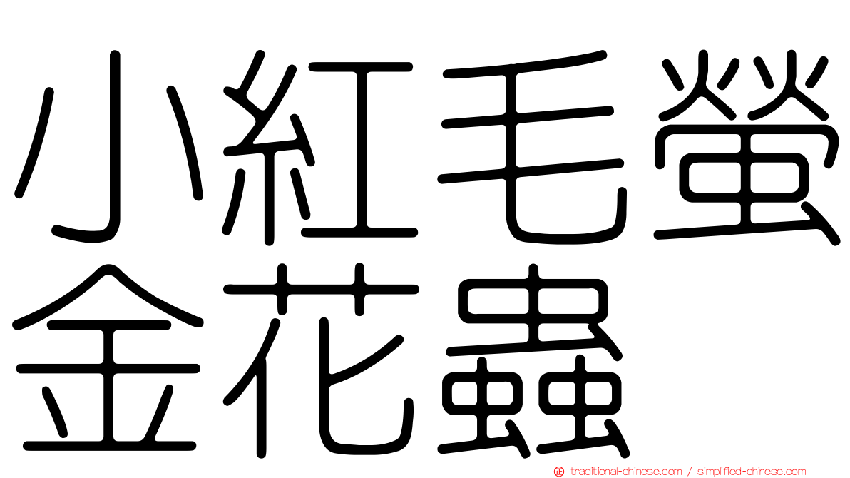小紅毛螢金花蟲