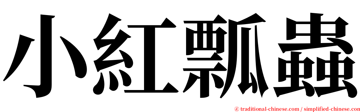 小紅瓢蟲 serif font