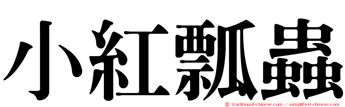 小紅瓢蟲