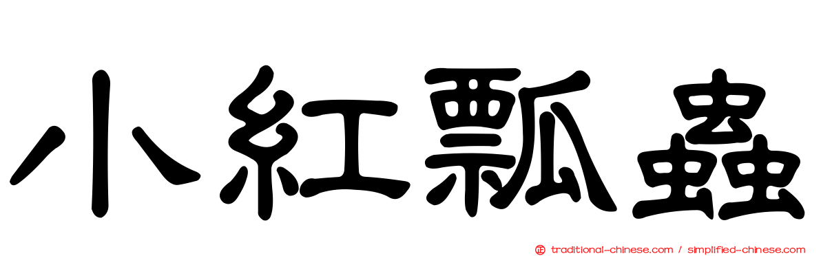 小紅瓢蟲