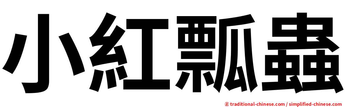小紅瓢蟲