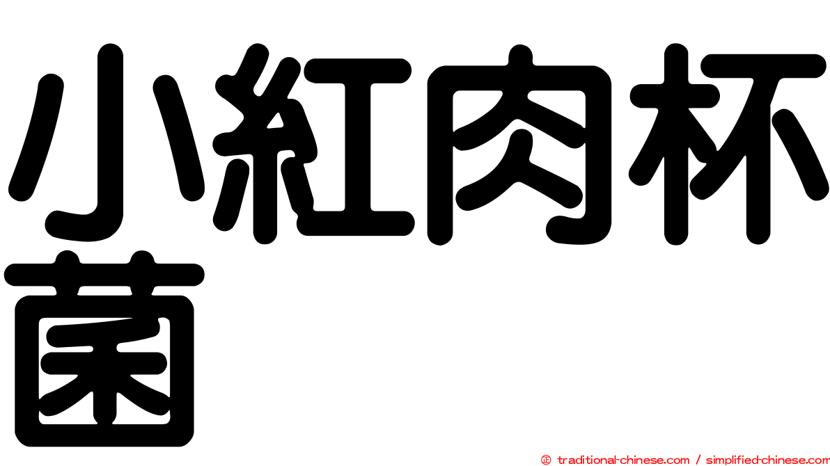 小紅肉杯菌