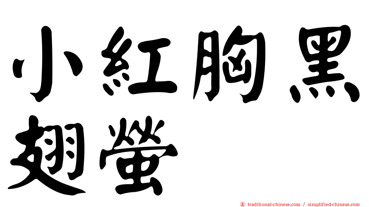 小紅胸黑翅螢
