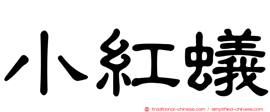 小紅蟻