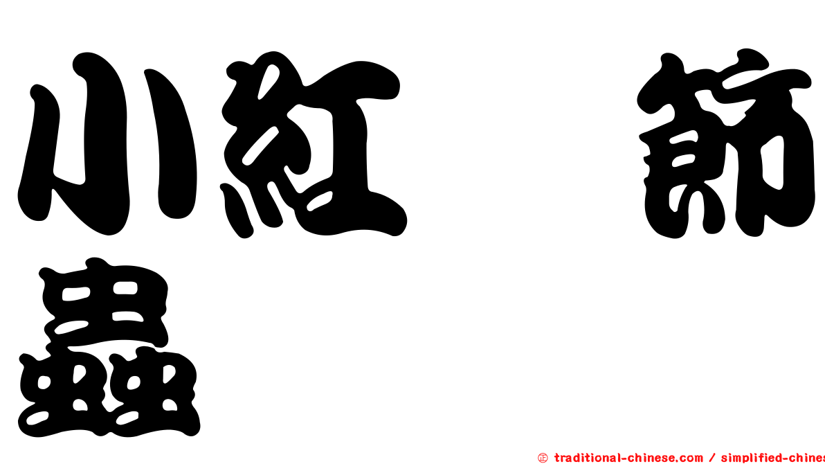 小紅鰹節蟲
