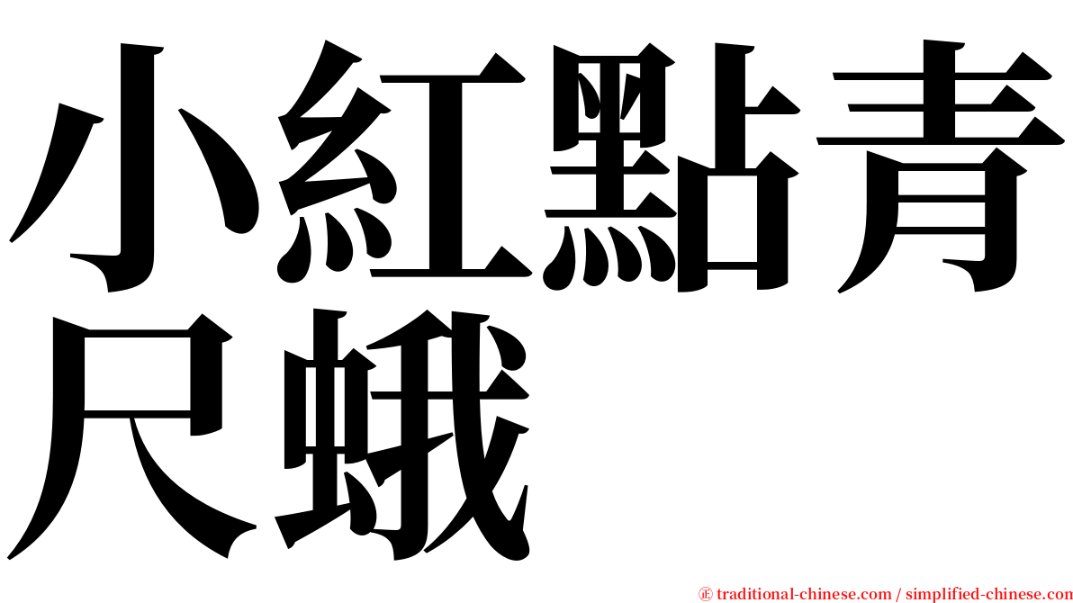 小紅點青尺蛾 serif font