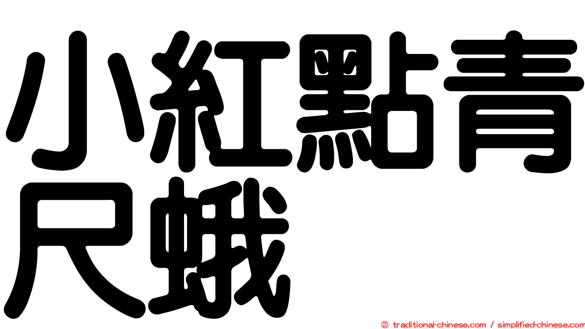 小紅點青尺蛾