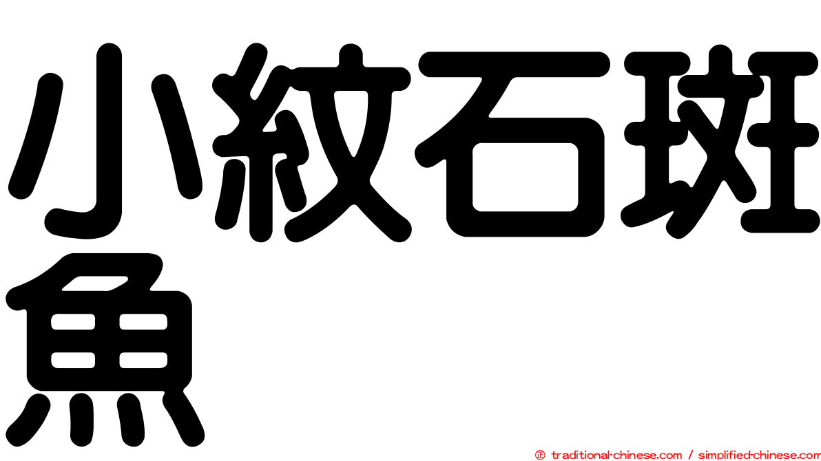 小紋石斑魚