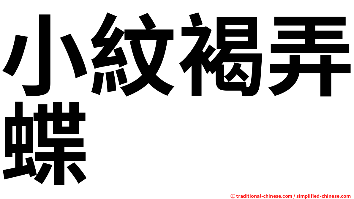 小紋褐弄蝶