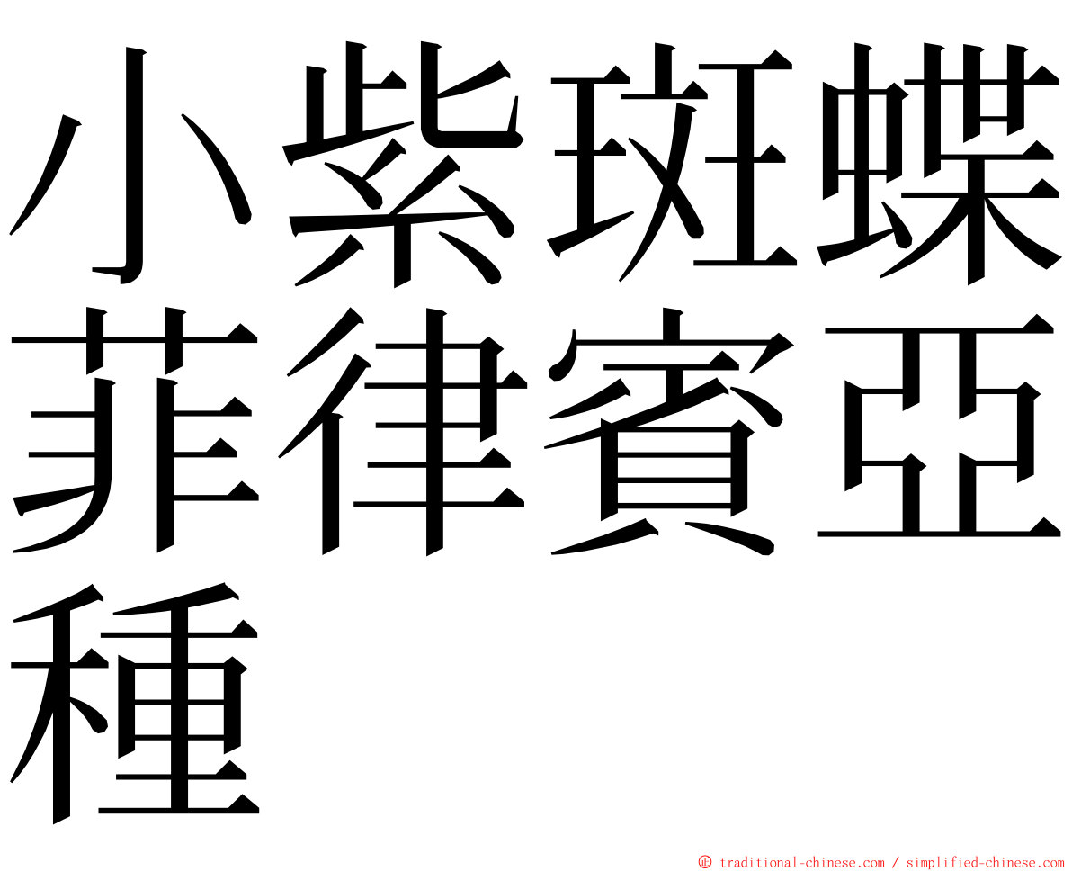 小紫斑蝶菲律賓亞種 ming font