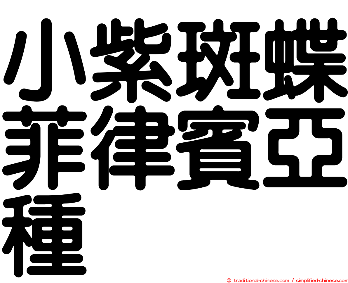 小紫斑蝶菲律賓亞種