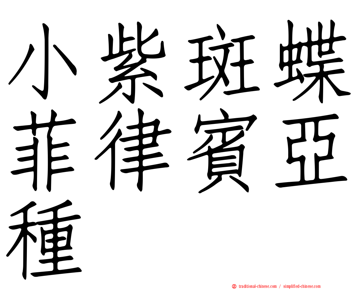小紫斑蝶菲律賓亞種