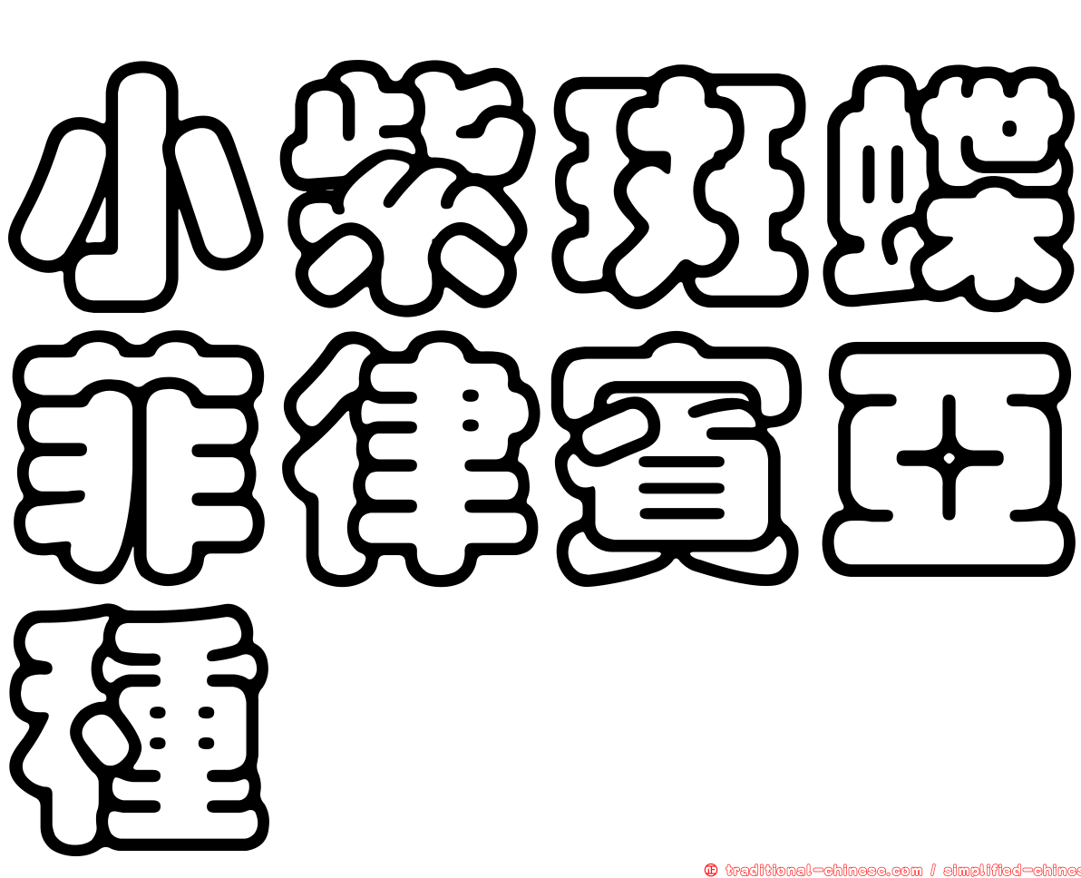 小紫斑蝶菲律賓亞種