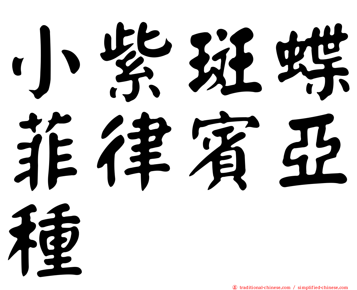 小紫斑蝶菲律賓亞種