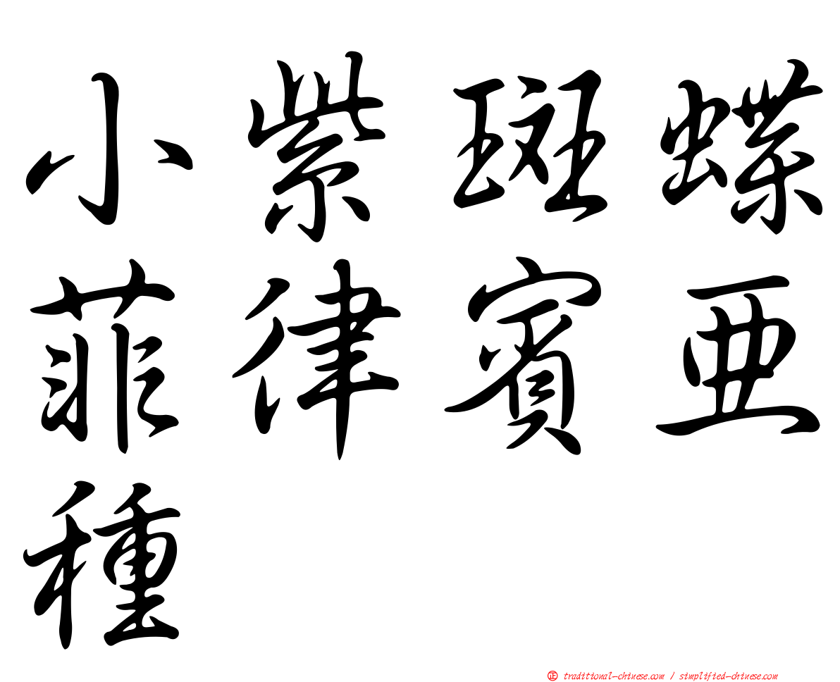 小紫斑蝶菲律賓亞種