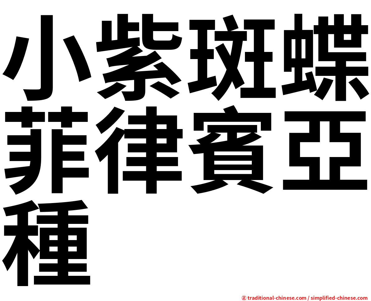 小紫斑蝶菲律賓亞種