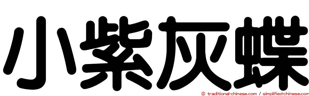 小紫灰蝶