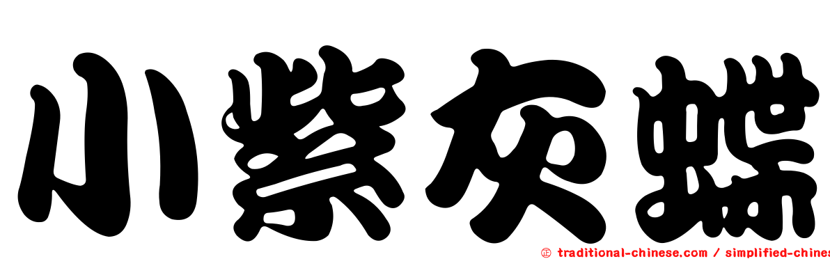 小紫灰蝶