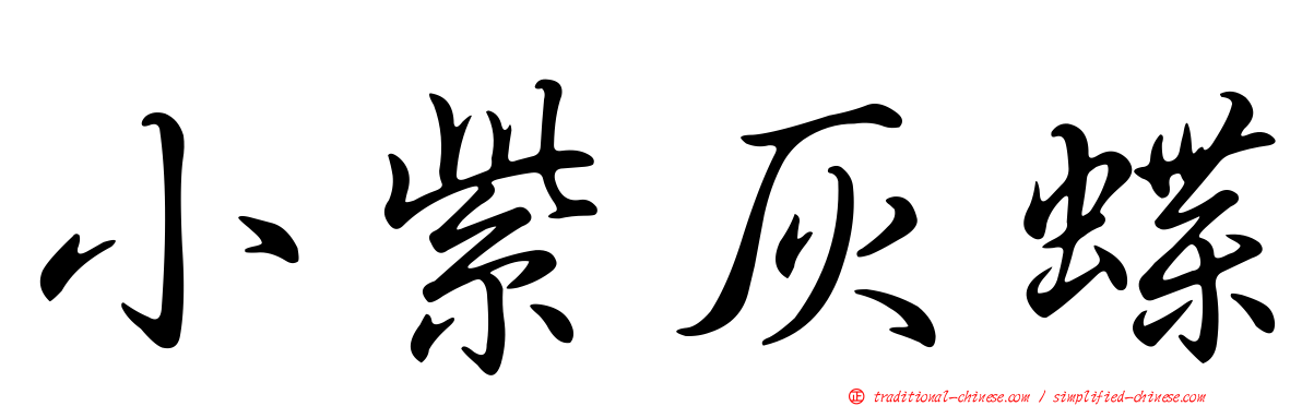 小紫灰蝶