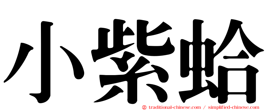 小紫蛤