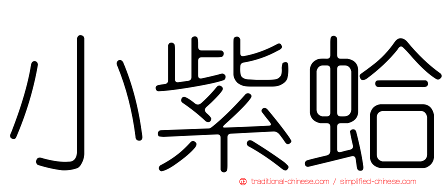 小紫蛤
