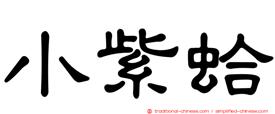 小紫蛤