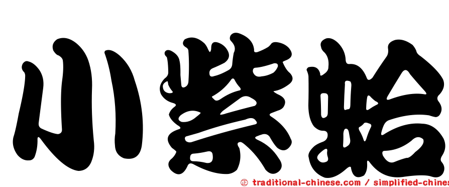 小紫蛤