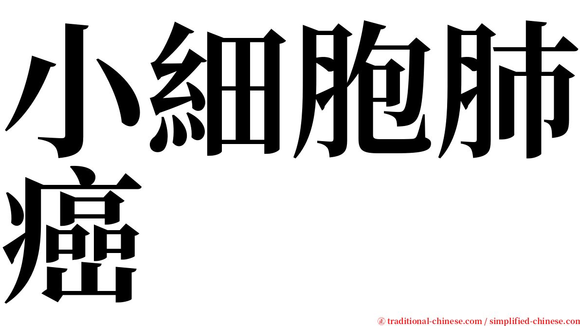 小細胞肺癌 serif font