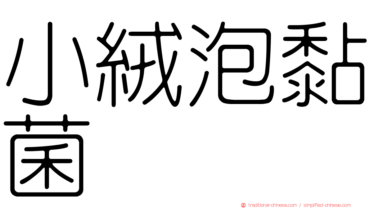 小絨泡黏菌