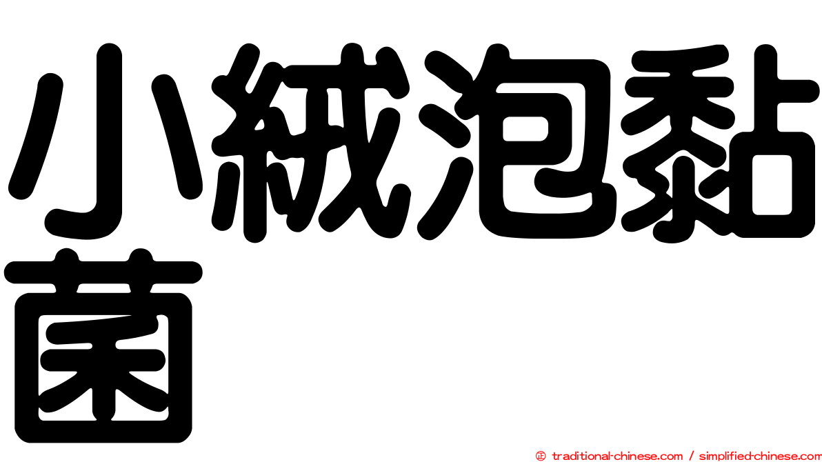 小絨泡黏菌