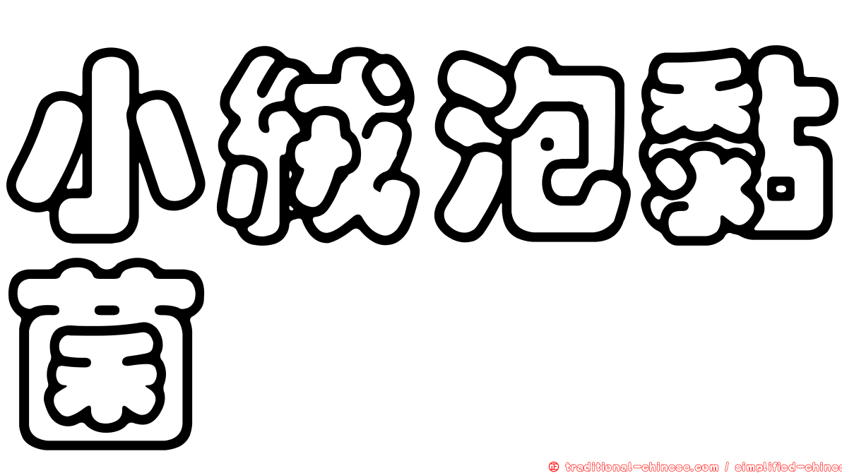 小絨泡黏菌
