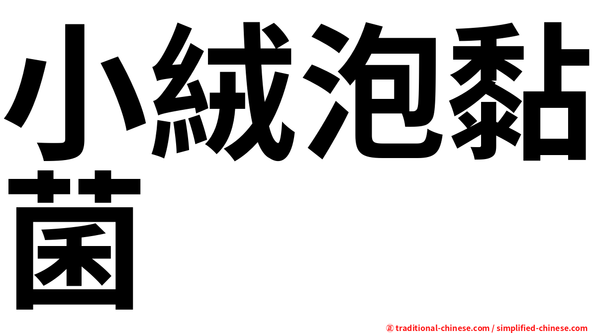 小絨泡黏菌