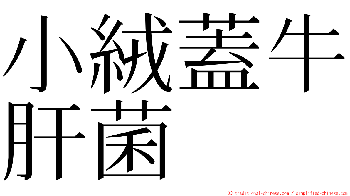 小絨蓋牛肝菌 ming font