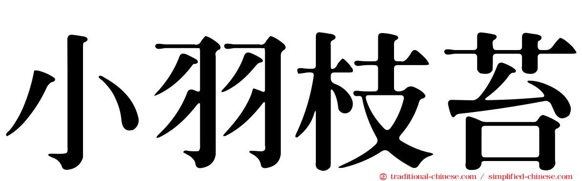 小羽枝苔
